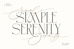 Simple Serenity Serif  Script Font Download
