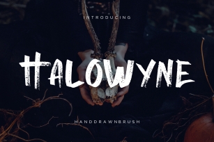 Halowyne Font Download