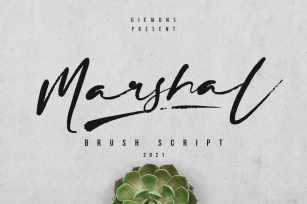 Marshal Script Font Download