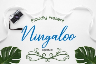 Ningaloo Font Download