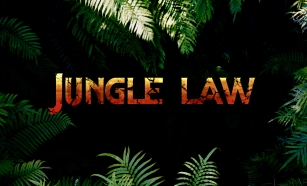 Jungle law Font Download