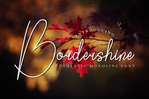 Bordershine Monoline Font Download