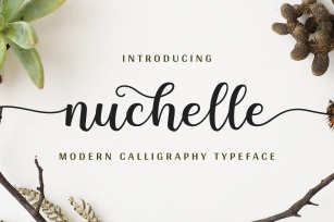 Nuchelle Font Download