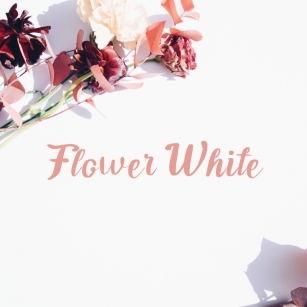 Flower White Font Download