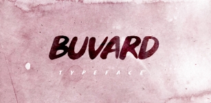 Buvard Font Download