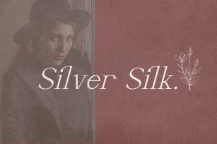 Silver Silk Font Download
