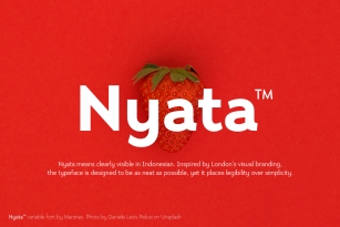 Nyata FTR Font Download