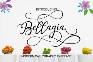 Bellagia Script Font Download