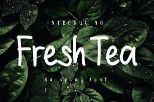 Freshtea| A Display Typeface Font Download