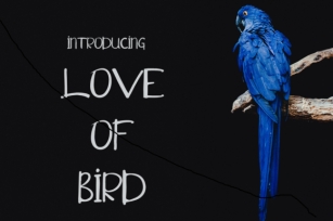 Love of Bird Font Download
