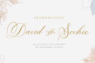 David And Sovhie Font Download