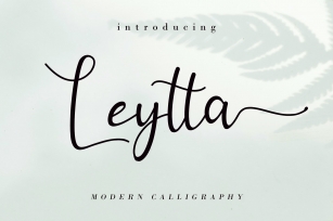 Leytta Font Download