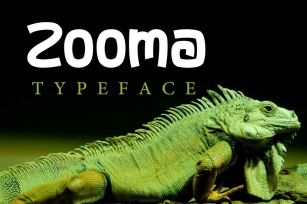 Zooma Font Download