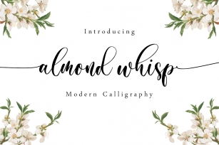 Almond whisp Font Download