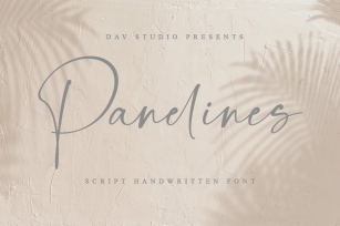 Panelines - Script Handwritten Font Font Download