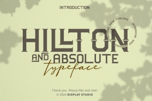 Hillton and Absolute Font Download