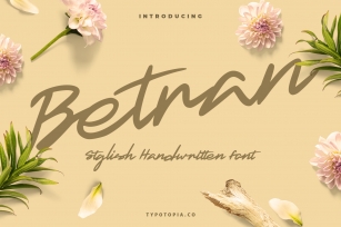 Betra Font Download