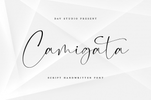 Camigata Font Download