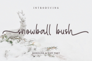 Snowball bush Font Download