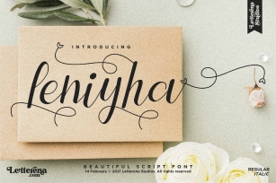 Leniyha - Beautiful Script Font Font Download