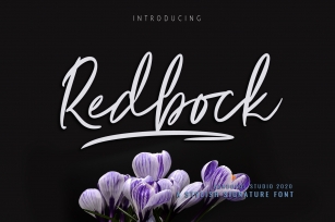 Redbock Font Download
