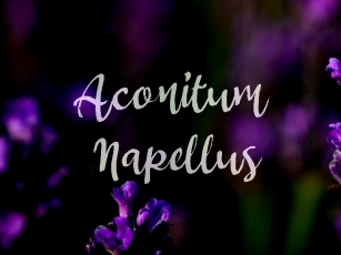 A Aconitum Napellus Font Download