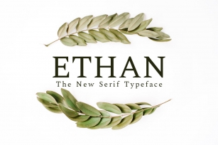 Ethan Serif Font Family Font Download