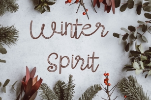 Winter Spirit-Slash Font Download