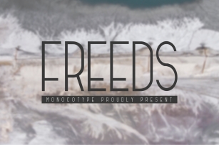 Freeds Font Download