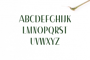 Severn Sans Serif Font Family Font Download
