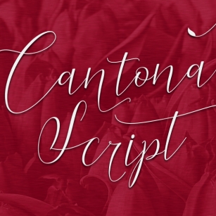 Cantona Scrip Font Download