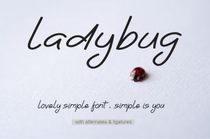 Ladybug Font Download