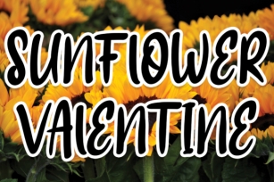 Sunflower Valentine Font Download