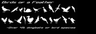 Birds of a Feather Font Download