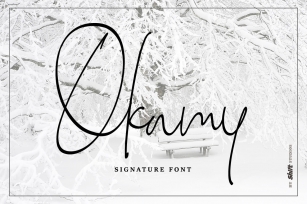 Okamy Typeface Font Download