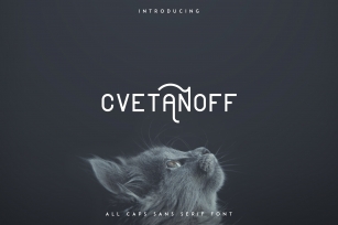 CVETANOFF SANS SERIF FONT Font Download