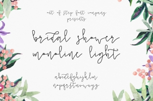 Bridal Shower Monoline Script Ligh Font Download