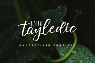 Hello Tayledic Handstylish Font Duo Font Download