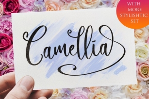 Camellia Script Font Download