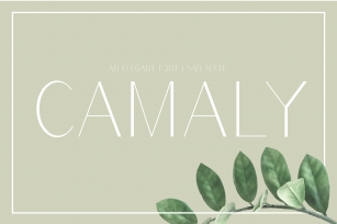 Camaly Font Download