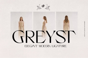 Greyst - Elegant Ligature font Font Download