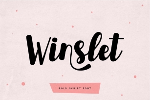 Winslet - Bold Script Font Font Download