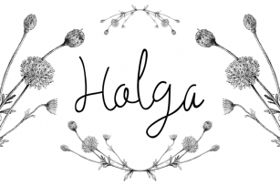 Holga Script Font Download
