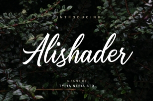 Alishader Dem Font Download