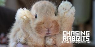 Chasing Rabbits Font Download