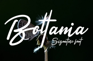 Boltania Font Download