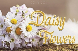 Daisy Flowers Font Download
