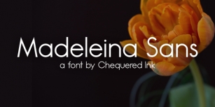 Madeleina Sans Font Download
