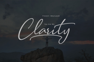 Clarity free Font Download
