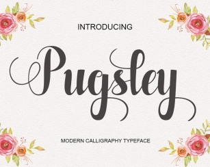 Pugsley Font Download